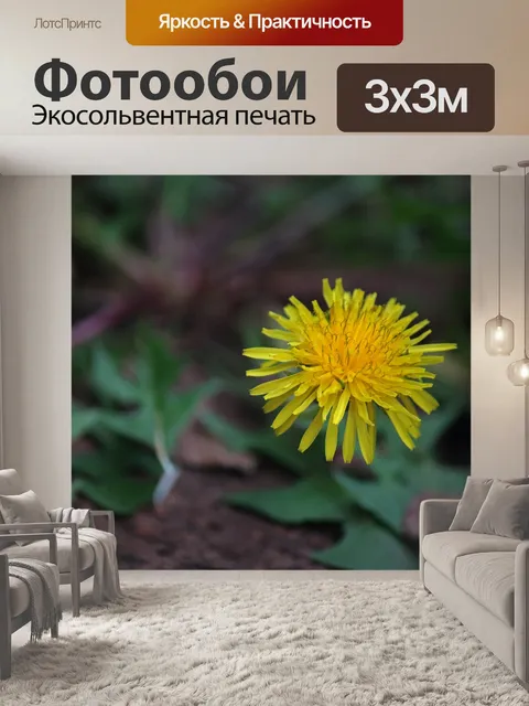 Фотообои желтый цветок одуванчика на растении