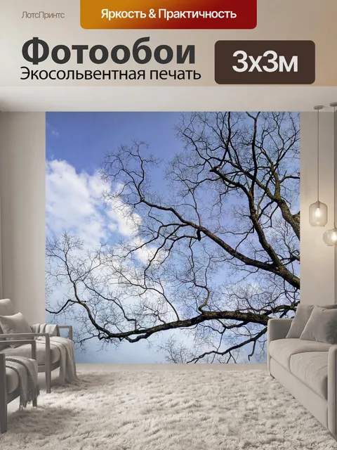 Фотообои Дерево