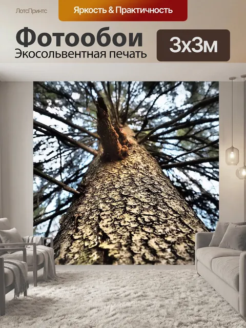 Фотообои Древесина