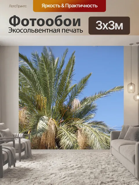 Фотообои Ветви пальмовых деревьев с голубым небом