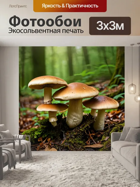 Фотообои текстура грибов в лесу