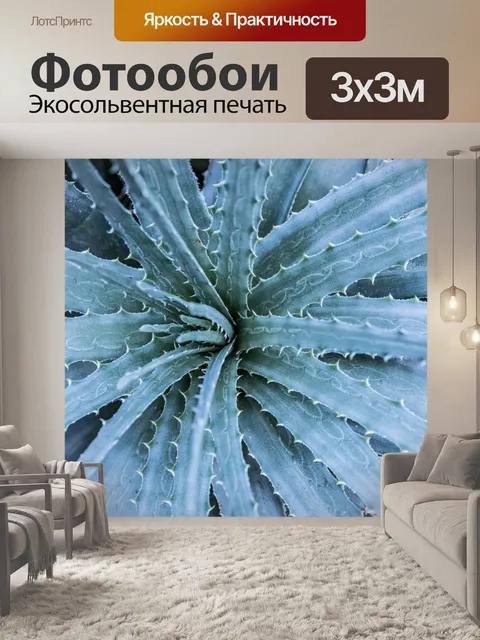 Фотообои Синий суккулент