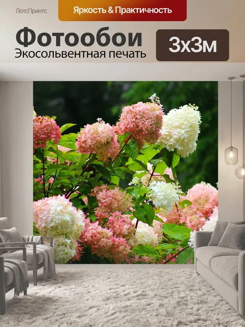 Фотообои Цветы