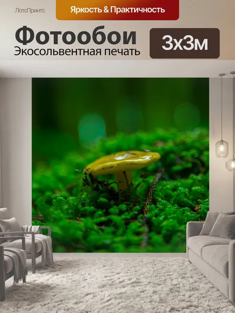 Фотообои гриб