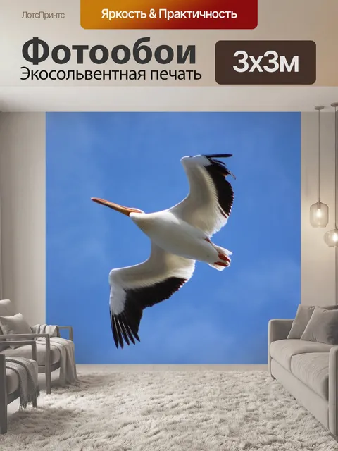 Фотообои Птица