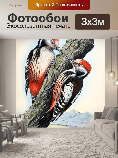 Фотообои Птица винтаж искусство старый