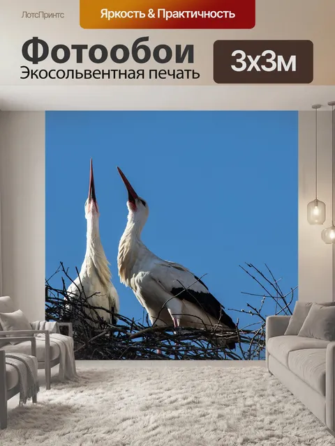 Фотообои Аист