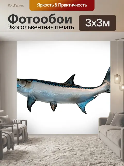 Фотообои Тарпон рыбы Гора