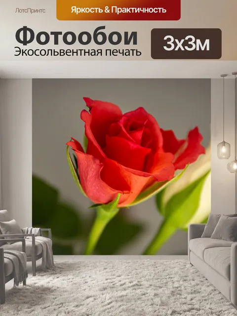 Фотообои Цветок