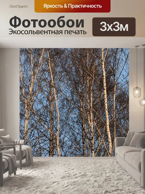 Фотообои Берёза