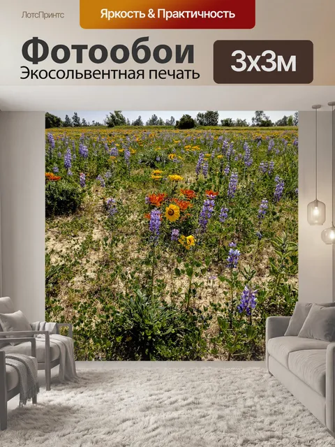 Фотообои Область Полевые цветы