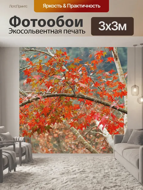 Фотообои Осенние листья