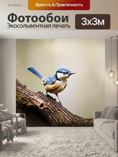 Фотообои поползень, молодой, небольшой, ловко балансирует на краю ствола, его выразительный взгляд направлен в сторону