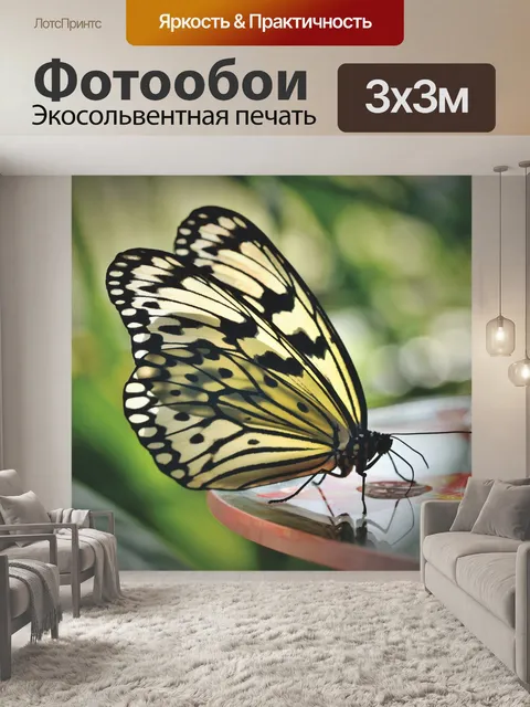 Фотообои Бабочка