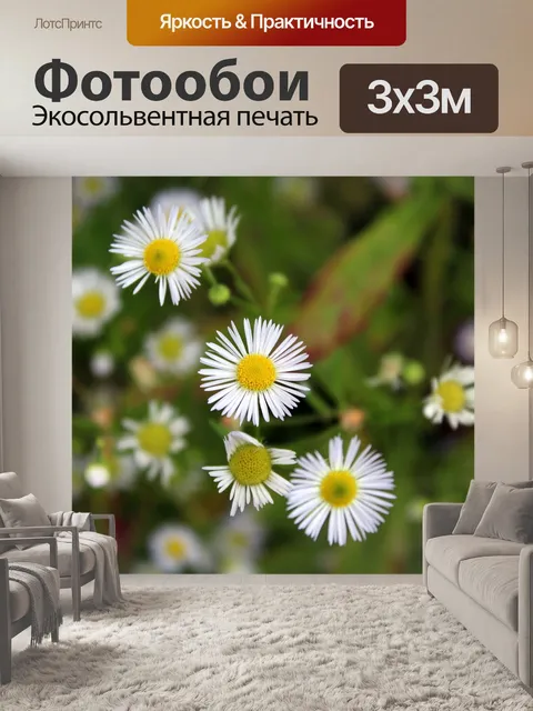 Фотообои Цветы