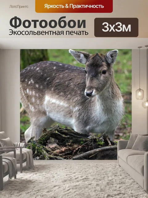 Фотообои Лань