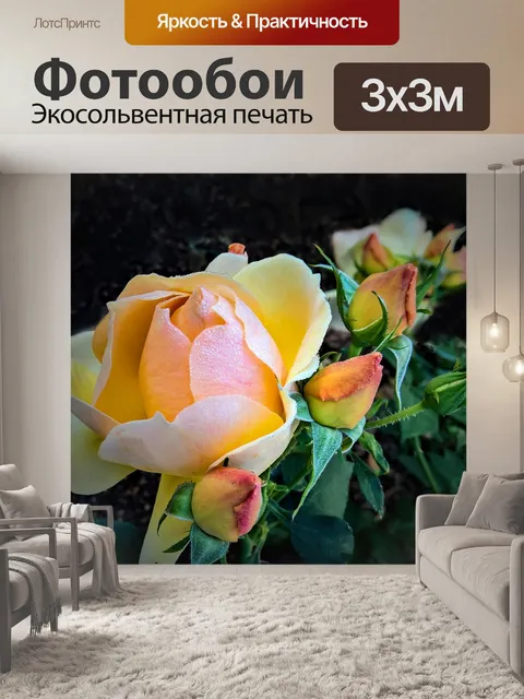 Фотообои Розы