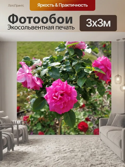 Фотообои Розы