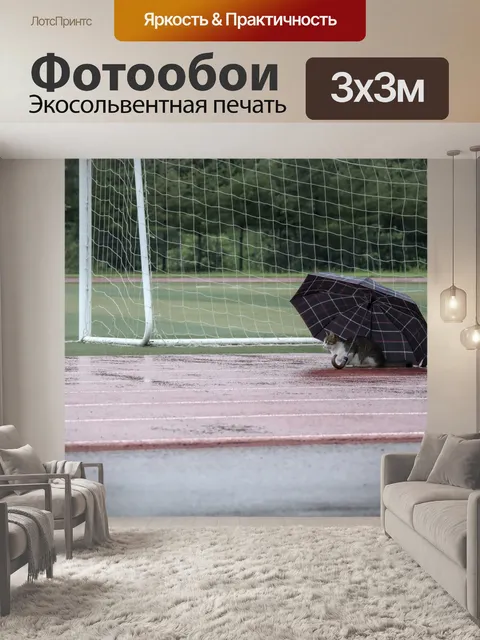 Фотообои Кошка