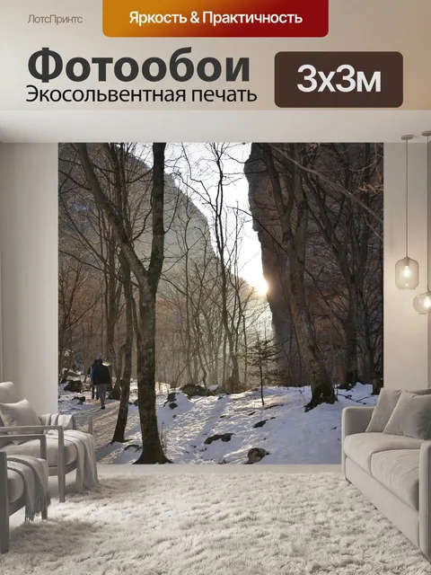 Фотообои Лес