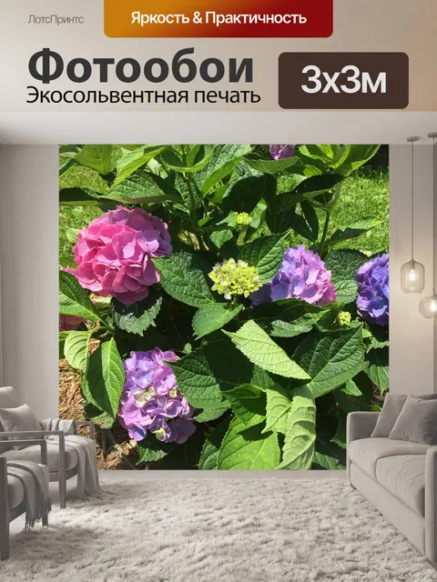 Фотообои Цветы