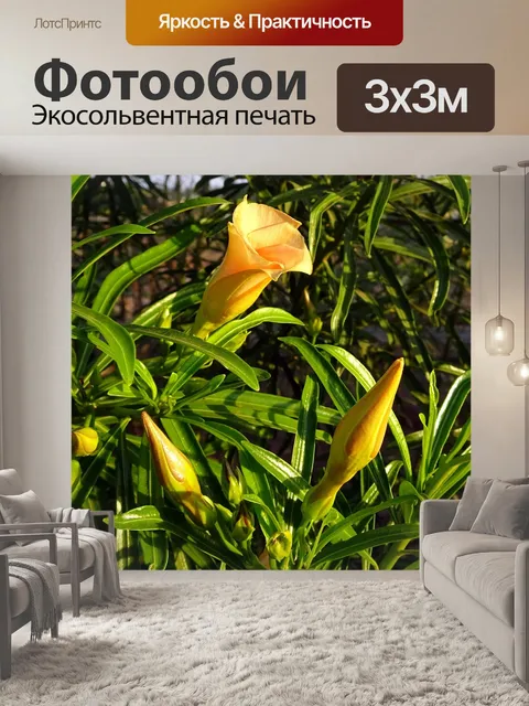 Фотообои Цветок