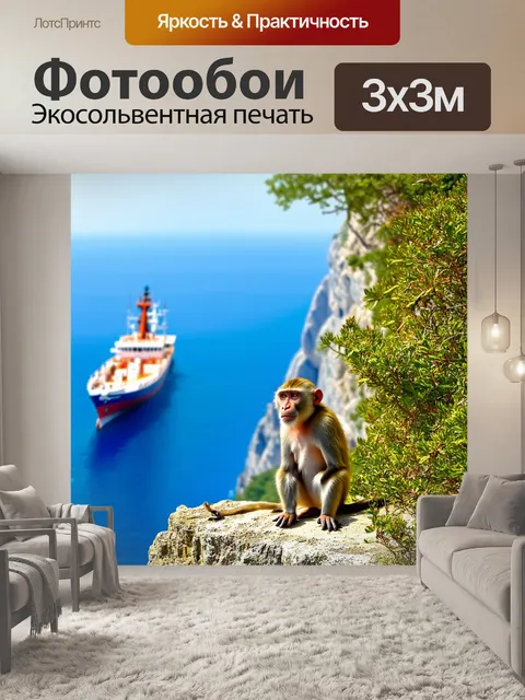 Фотообои на скале гибралтара сидит обезьяна, внимательно смотрящая на мимо проплывающий корабль
