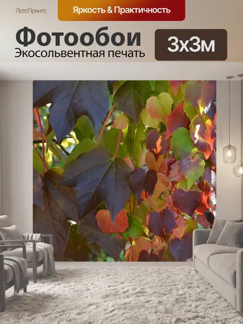 Фотообои Листья
