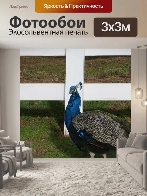 Фотообои Павлин 524