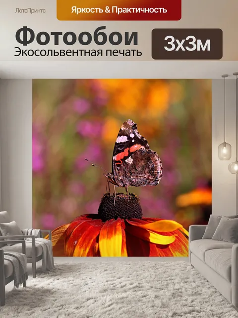 Фотообои Бабочка