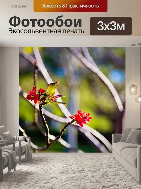 Фотообои Природа