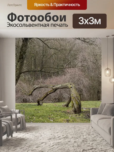 Фотообои Дерево