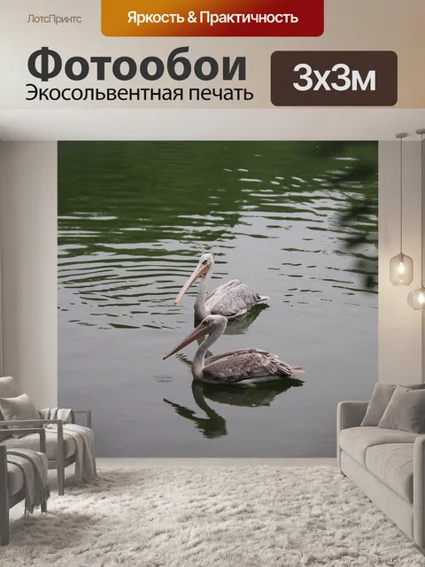 Фотообои Пеликаны