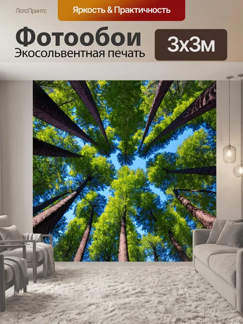 Фотообои лес с перпендикулярными деревьями, создающими симметричный вид