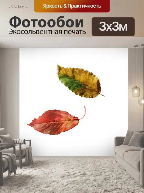 Фотообои Листья бука