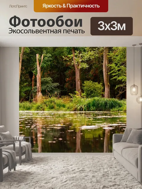 Фотообои Лес