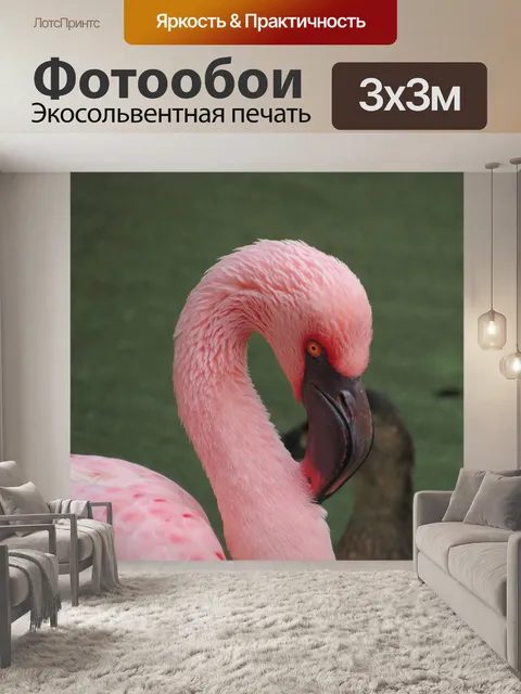 Фотообои Птица