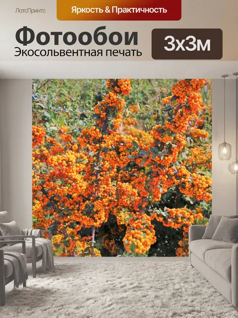 Фотообои Осень