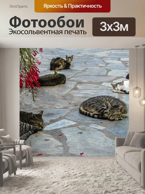 Фотообои Кошки