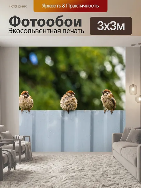 Фотообои Птицы