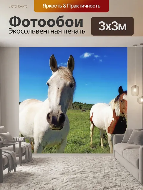Фотообои Две лошади