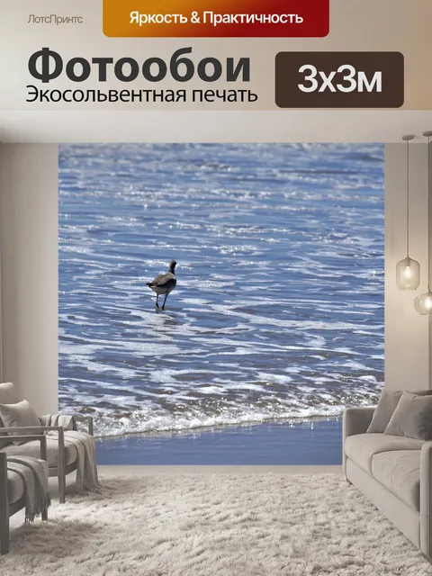 Фотообои Пробираясь Чайка на пляже