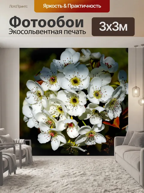 Фотообои Груша