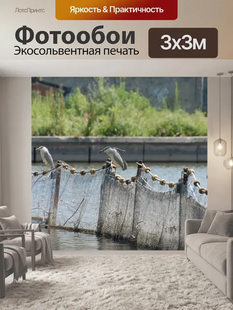 Фотообои Птицы
