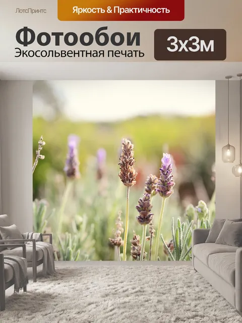 Фотообои Лаванда