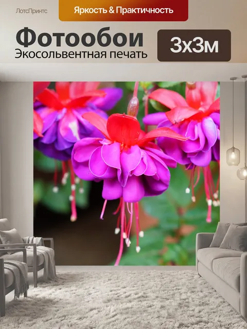Фотообои Фуксия