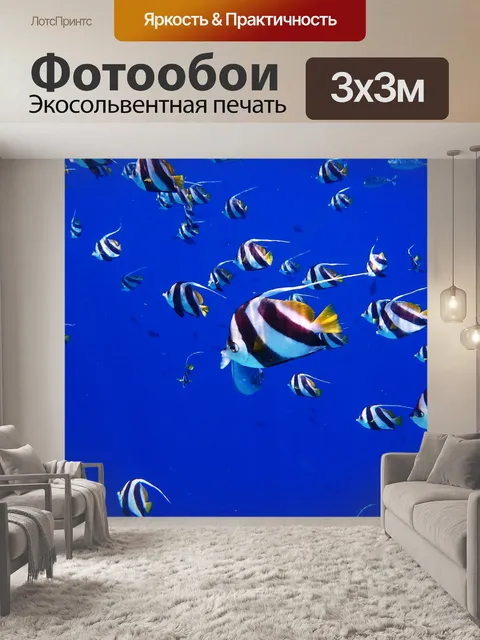 Фотообои Рыбы