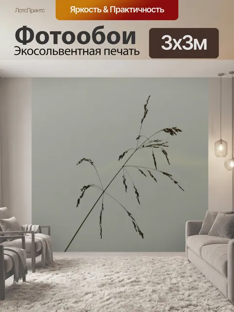 Фотообои Трава