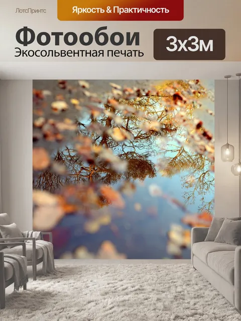Фотообои Лужа