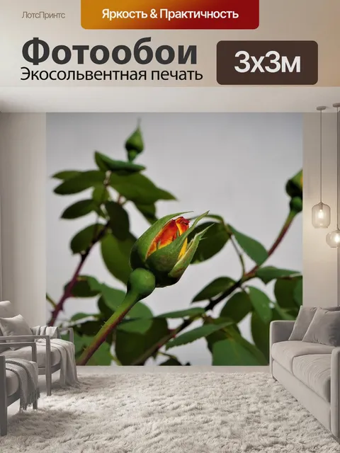 Фотообои Розовый